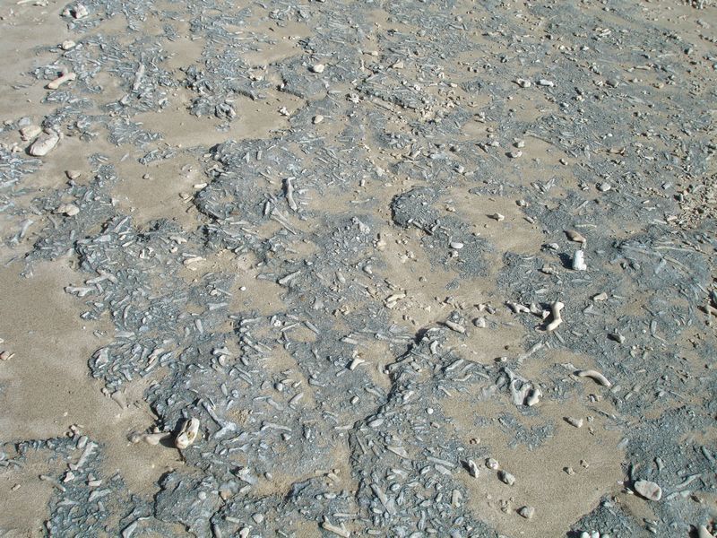 151_dsc00471.jpg (800x600; 165588 bytes)