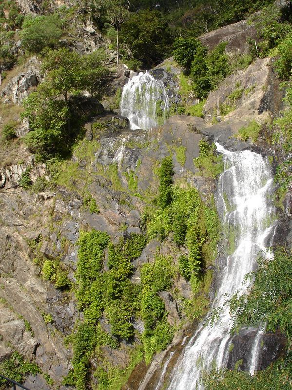 230_dsc00599.jpg (600x800; 184394 bytes)