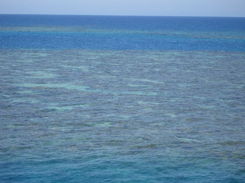 450_dsc00928.jpg (800x600; 85608 bytes)
